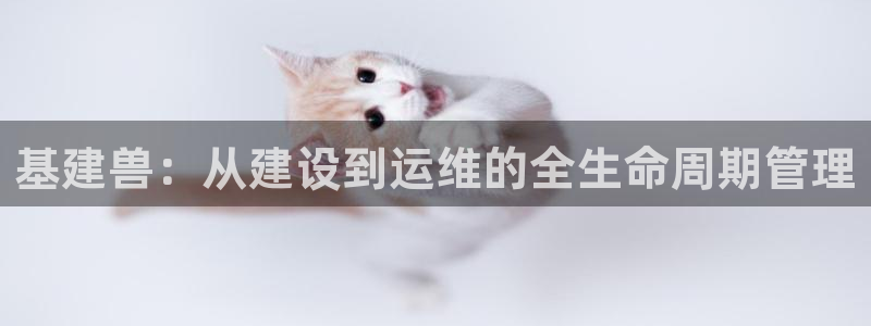 和记官网开户