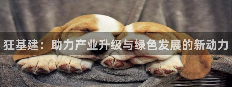 香港长江和记官网