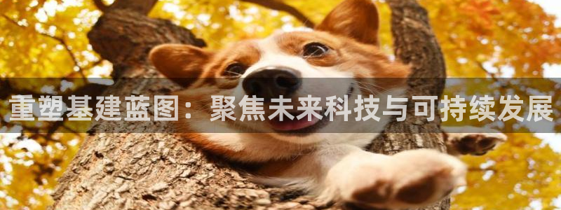 和记电官网