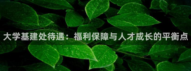 澳门3和记官网
